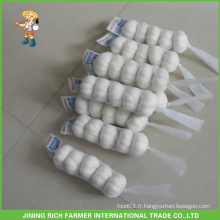 Jining China Fresh White White Garlic 6.0CM 5P Mesh Bag En Carton